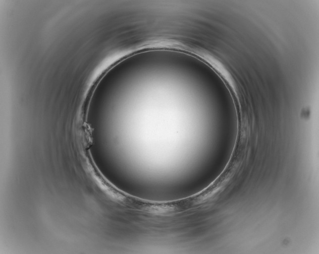 X0000091921053200709121534
