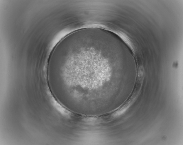X0000091921054200709121534