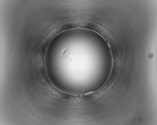 X0000091921058200709121534