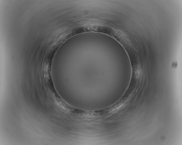 X0000091921060200709121534