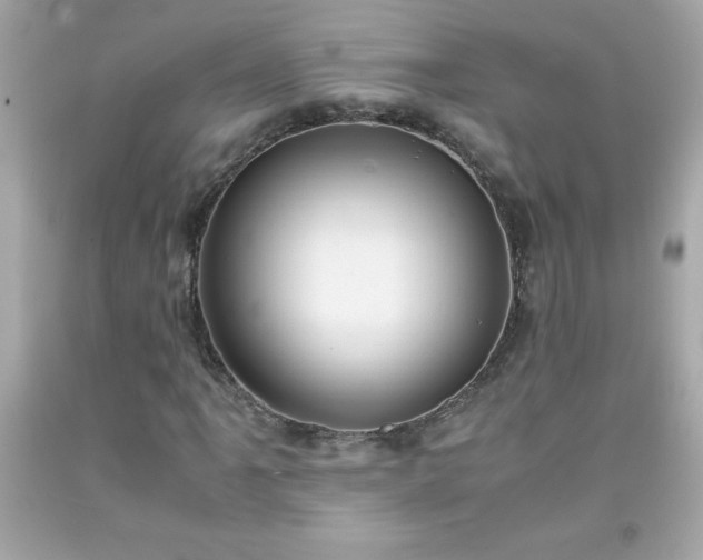 X0000091921061200709121534