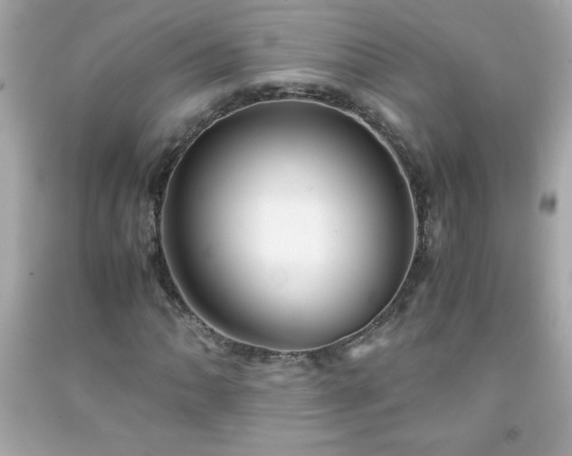 X0000091921062200709121534