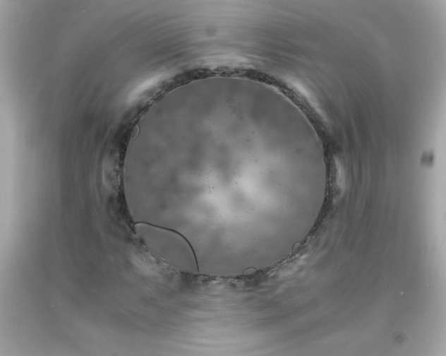 X0000091921063200709121534