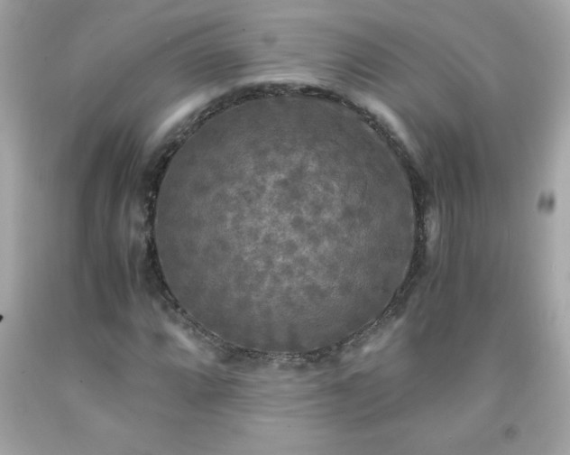 X0000091921064200709121534