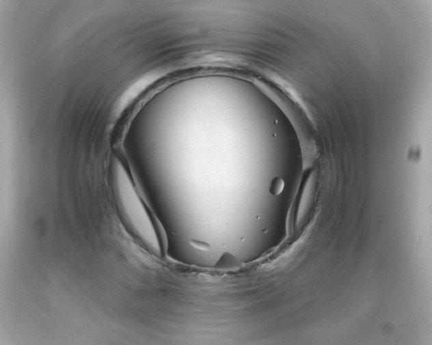 X0000091921066200709121534