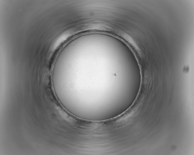 X0000091921067200709121534