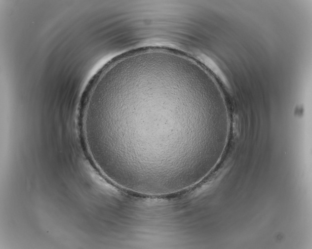 X0000091921068200709121534