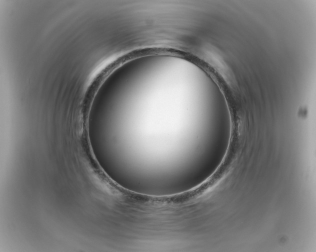 X0000091921069200709121534