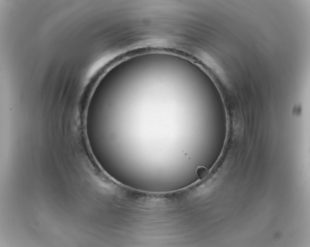 X0000091921070200709121534