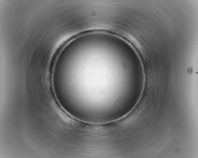 X0000091921072200709121534