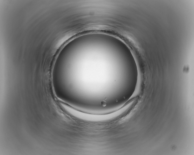 X0000091921073200709121534