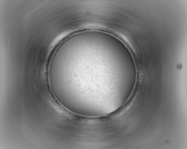 X0000091921074200709121534