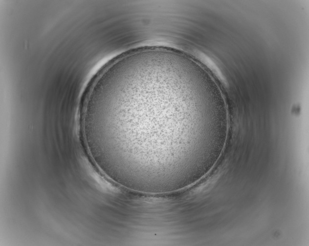 X0000091921076200709121534