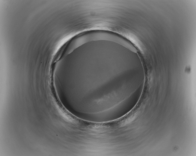 X0000091921077200709121534