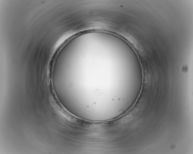 X0000091921078200709121534