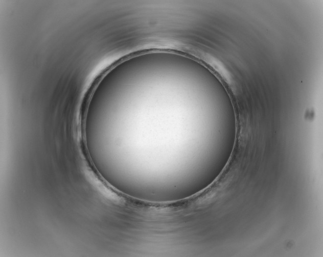X0000091921080200709121534