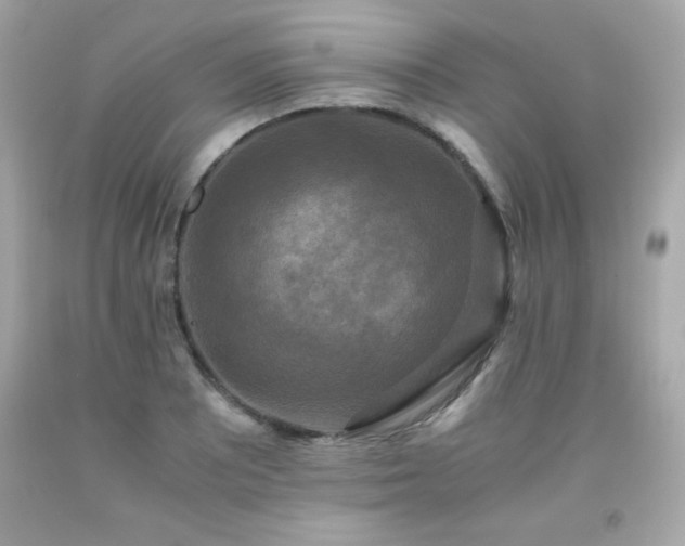 X0000091921081200709121533