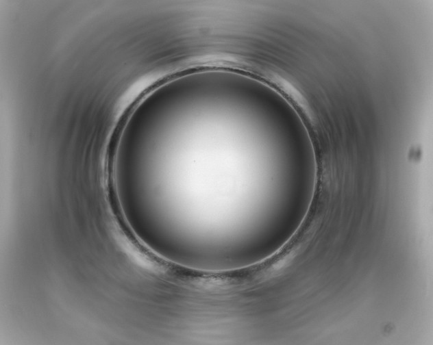 X0000091921082200709121533