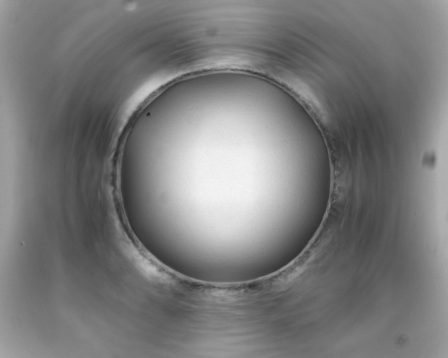 X0000091921086200709121533