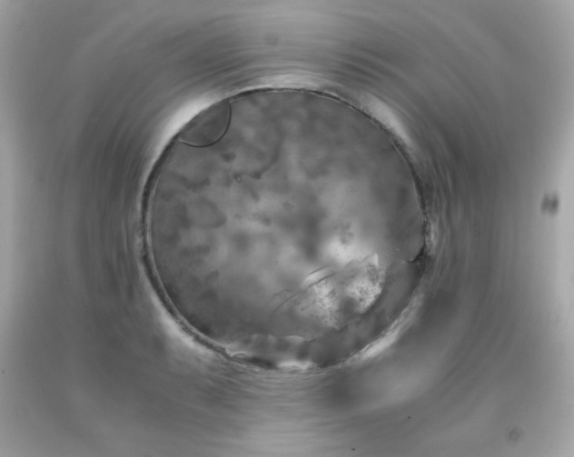 X0000091921087200709121533