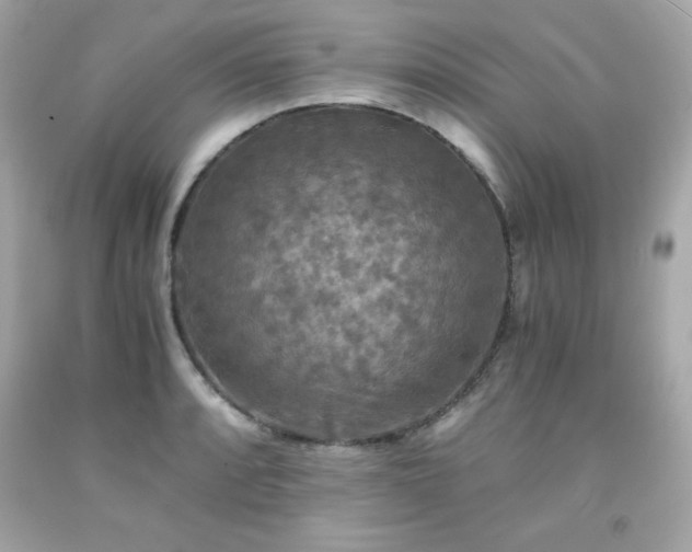 X0000091921088200709121533