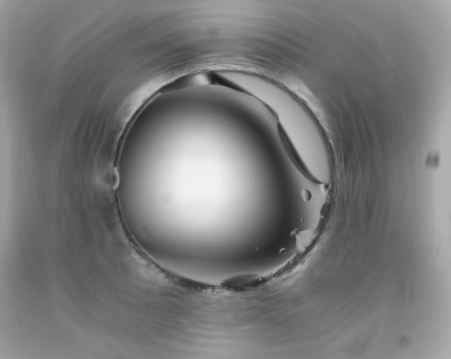 X0000091921089200709121533