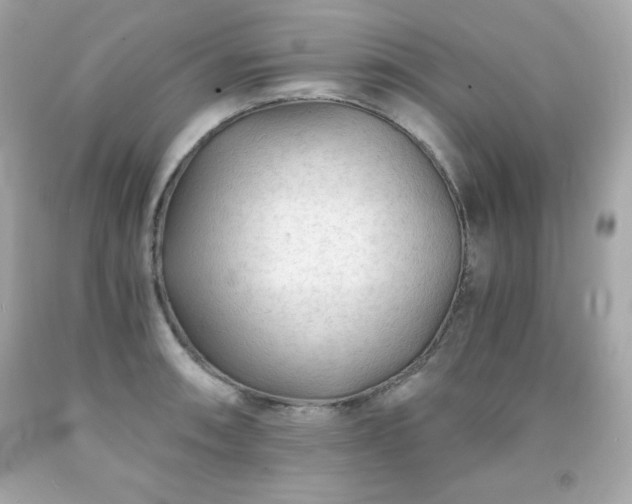 X0000091921090200709121533