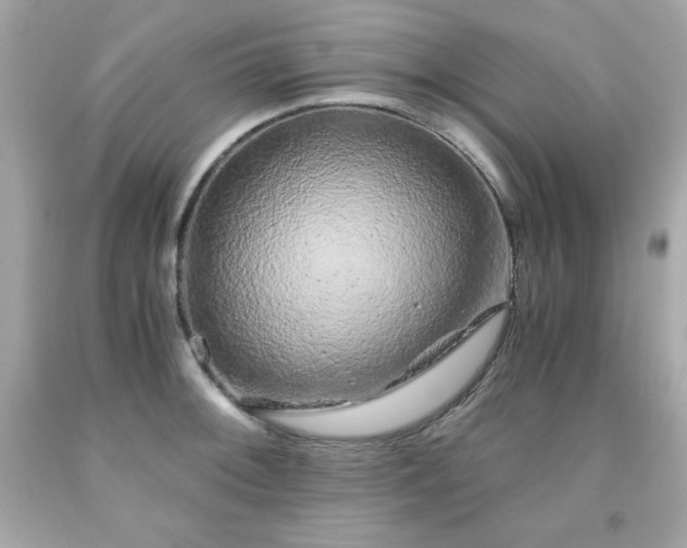 X0000091921092200709121533