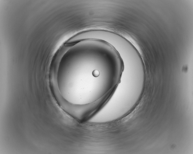 X0000091921093200709121533