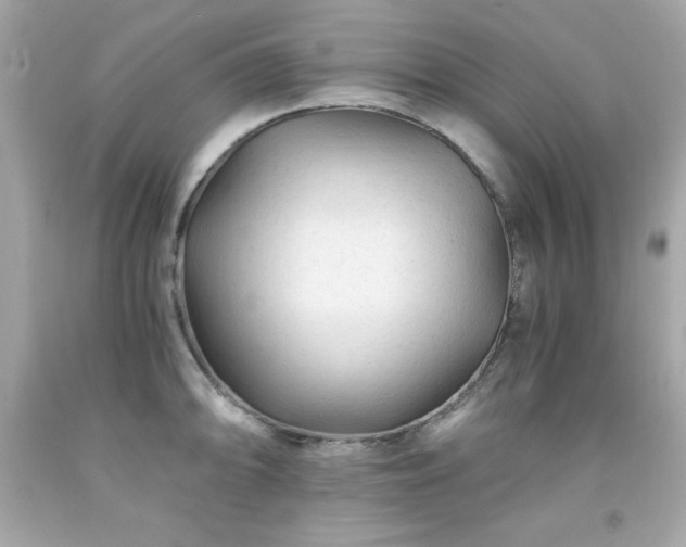 X0000091921094200709121533