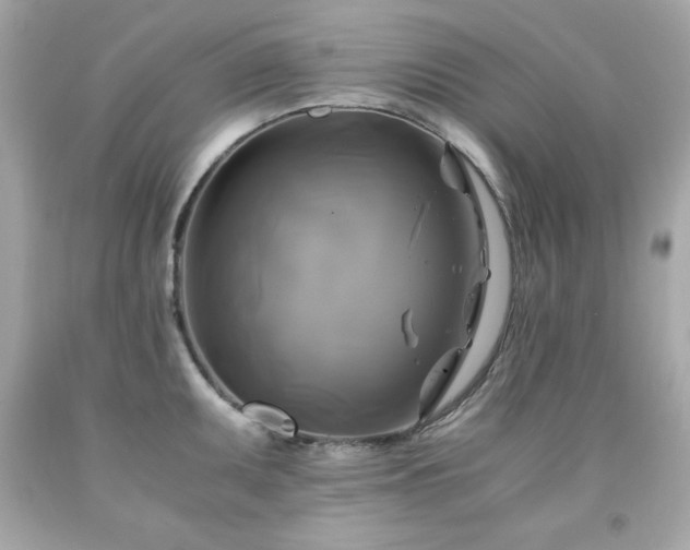 X0000091921095200709121533