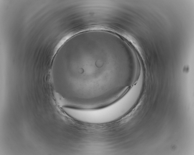 X0000091921097200709121533