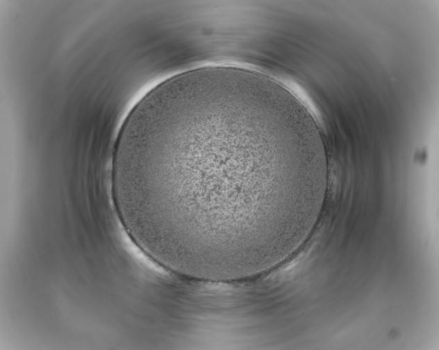 X0000091921100200709121533