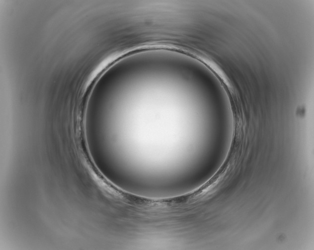X0000091921101200709121533