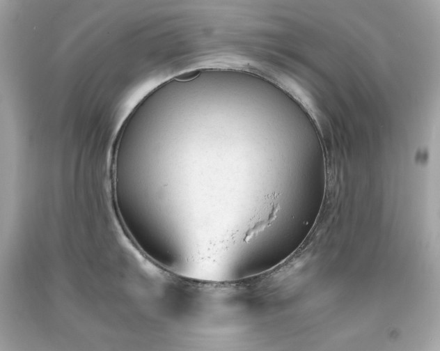 X0000091921103200709121533