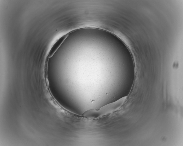 X0000091921104200709121533