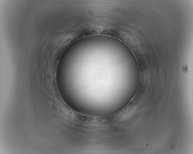 X0000091921105200709121533