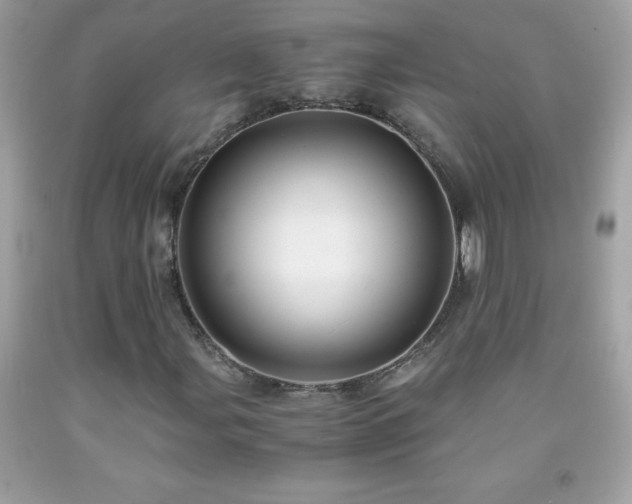 X0000091921107200709121533