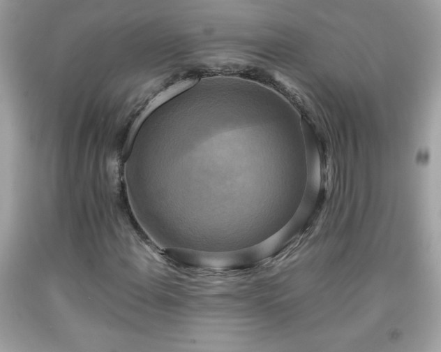 X0000091921108200709121533