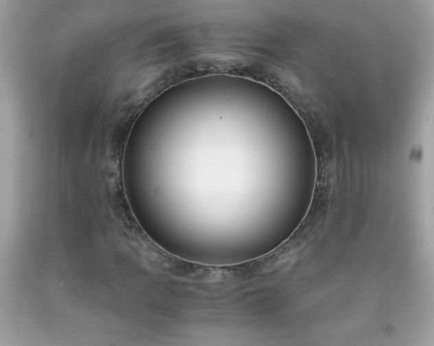 X0000091921109200709121533