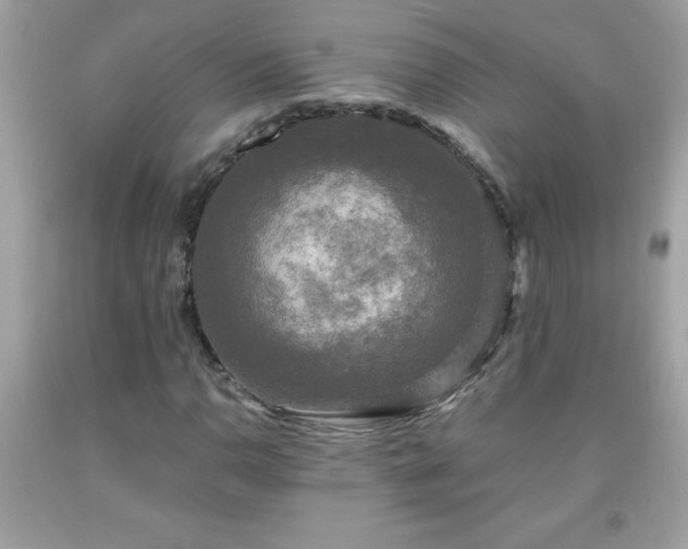 X0000091921110200709121533
