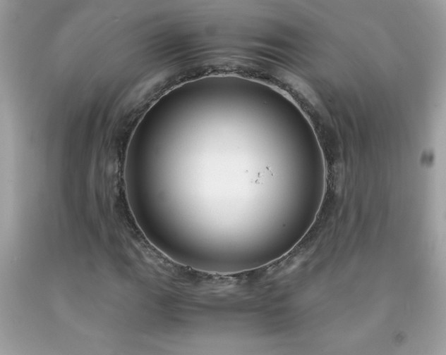 X0000091921111200709121533
