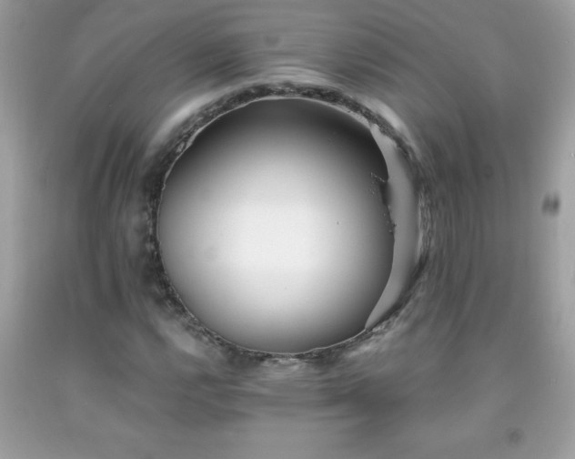 X0000091921112200709121533