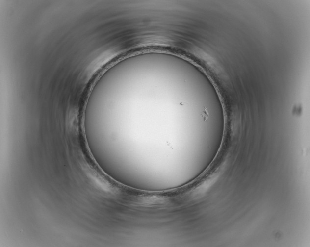 X0000091921113200709121533
