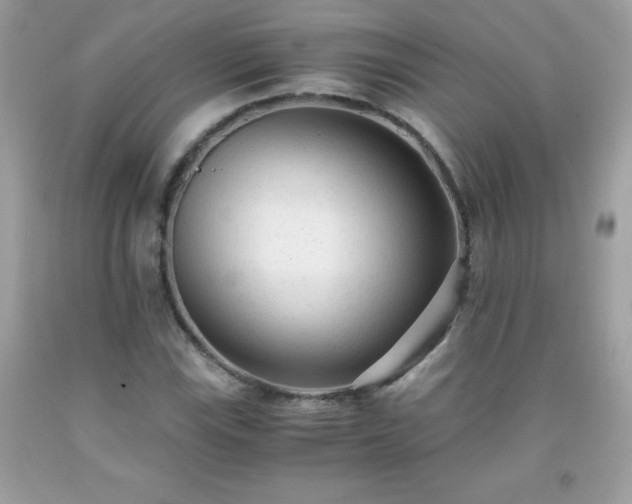 X0000091921115200709121533
