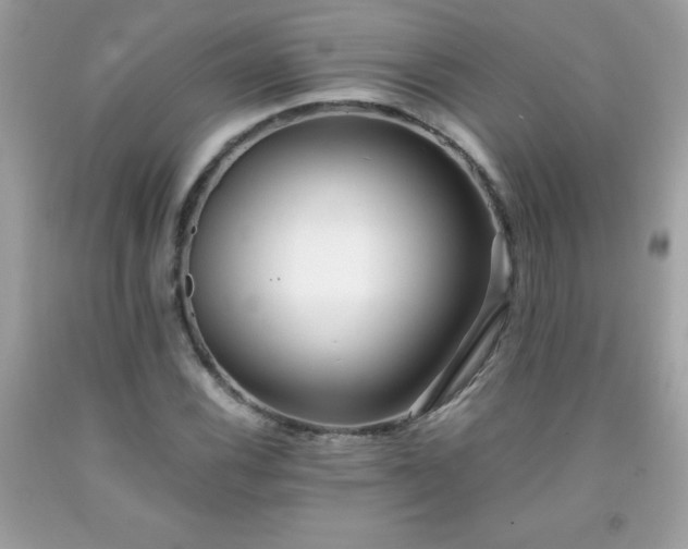 X0000091921116200709121533
