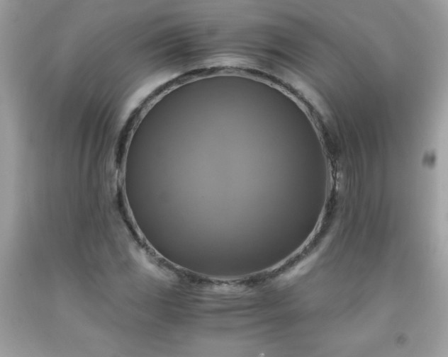X0000091921117200709121533