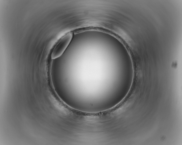 X0000091921118200709121533