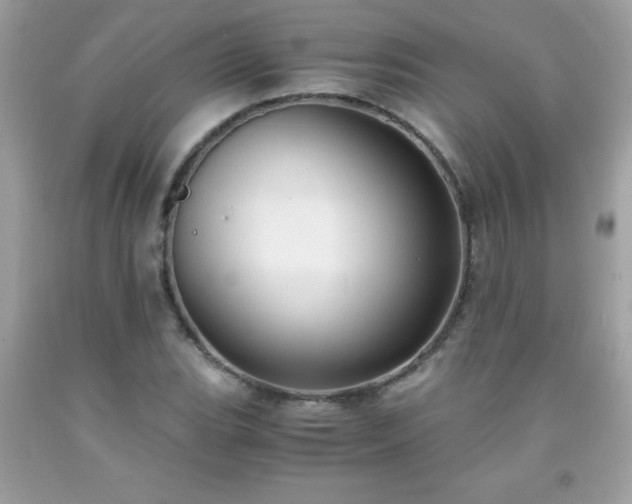 X0000091921119200709121533