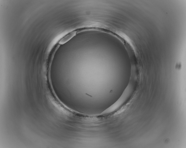 X0000091921120200709121533
